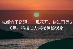 成都竹子奇觀，一現花開，錯過再等60年，科技助力揭秘神秘現象