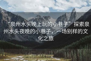 “泉州水頭晚上玩的小巷子”探索泉州水頭夜晚的小巷子，一場別樣的文化之旅