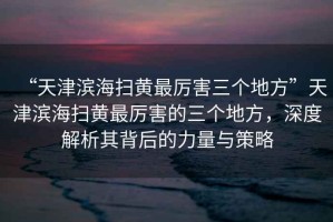 “天津濱海掃黃最厲害三個地方”天津濱海掃黃最厲害的三個地方，深度解析其背后的力量與策略