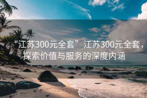 “江蘇300元全套”江蘇300元全套，探索價值與服務的深度內涵