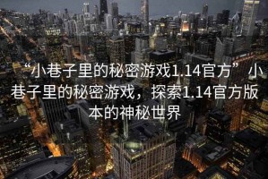 “小巷子里的秘密游戲1.14官方”小巷子里的秘密游戲，探索1.14官方版本的神秘世界