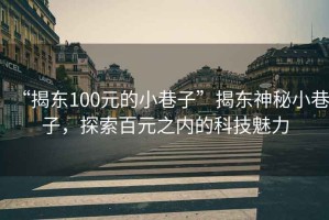 “揭東100元的小巷子”揭東神秘小巷子，探索百元之內的科技魅力