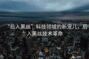 “后入黑絲”科技領(lǐng)域的新寵兒，后入黑絲技術(shù)革命