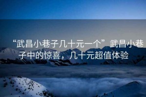 “武昌小巷子幾十元一個”武昌小巷子中的驚喜，幾十元超值體驗