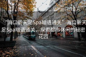 “海口新天足Spa暗語通關”海口新天足Spa暗語通關，探索都市休閑的秘密花園