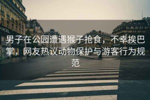男子在公園遭遇猴子搶食，不幸挨巴掌，網(wǎng)友熱議動(dòng)物保護(hù)與游客行為規(guī)范