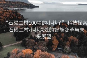 “石碣二村100塊的小巷子”科技探索，石碣二村小巷深處的智能變革與未來展望