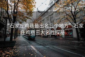 “石家莊雞巷最出名三個地方”石家莊雞巷三大名勝探秘