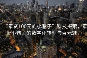 “奉賢100元的小巷子”科技探索，奉賢小巷子的數字化轉型與百元魅力