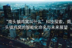 “南頭鎮雞窩叫什么”科技探索，南頭鎮雞窩的智能化命名與未來展望