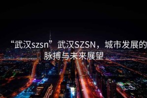 “武漢szsn”武漢SZSN，城市發展的脈搏與未來展望