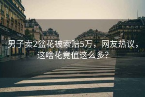 男子賣2盆花被索賠5萬，網友熱議，這啥花竟值這么多？