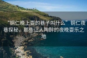 “銅仁晚上耍的巷子叫什么”銅仁夜巷探秘，那些讓人陶醉的夜晚耍樂之地