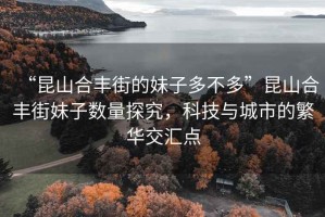 “昆山合豐街的妹子多不多”昆山合豐街妹子數量探究，科技與城市的繁華交匯點