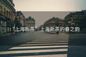 “上海新茶”上海新茶的春之韻
