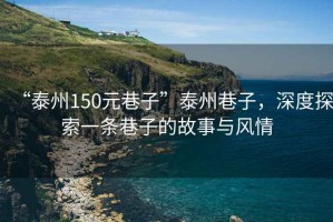 “泰州150元巷子”泰州巷子，深度探索一條巷子的故事與風(fēng)情
