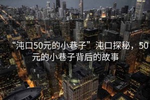 “沌口50元的小巷子”沌口探秘，50元的小巷子背后的故事