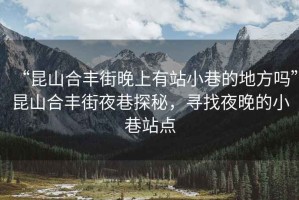 “昆山合豐街晚上有站小巷的地方嗎”昆山合豐街夜巷探秘，尋找夜晚的小巷站點