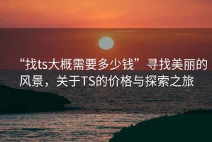 “找ts大概需要多少錢”尋找美麗的風景，關于TS的價格與探索之旅