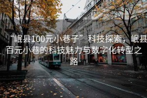 “岷縣100元小巷子”科技探索，岷縣百元小巷的科技魅力與數字化轉型之路