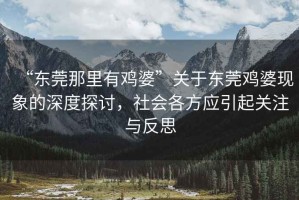 “東莞那里有雞婆”關于東莞雞婆現象的深度探討，社會各方應引起關注與反思