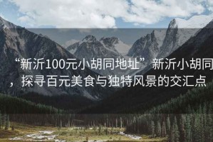 “新沂100元小胡同地址”新沂小胡同，探尋百元美食與獨特風景的交匯點