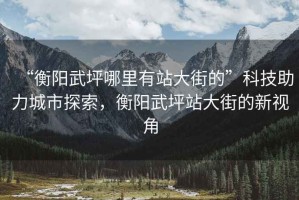 “衡陽武坪哪里有站大街的”科技助力城市探索，衡陽武坪站大街的新視角