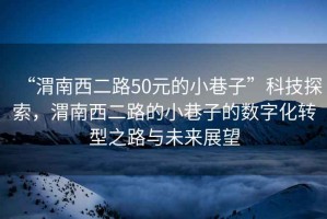 “渭南西二路50元的小巷子”科技探索，渭南西二路的小巷子的數字化轉型之路與未來展望
