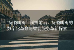 “撫順叫雞”科技前沿，撫順叫雞的數字化革命與智能服務革新探索