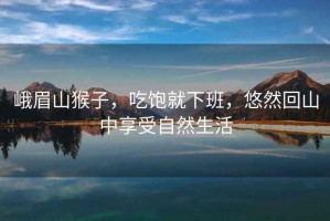 峨眉山猴子，吃飽就下班，悠然回山中享受自然生活