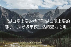 “湖口晚上耍的巷子”湖口晚上耍的巷子，探尋城市夜生活的魅力之地