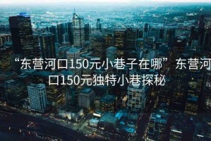 “東營河口150元小巷子在哪”東營河口150元獨特小巷探秘