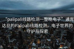 “palipali線路檢測一整晚電子”通宵達旦的Palipali線路檢測，電子世界的守護與探索