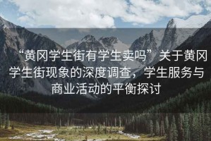 “黃岡學(xué)生街有學(xué)生賣(mài)嗎”關(guān)于黃岡學(xué)生街現(xiàn)象的深度調(diào)查，學(xué)生服務(wù)與商業(yè)活動(dòng)的平衡探討