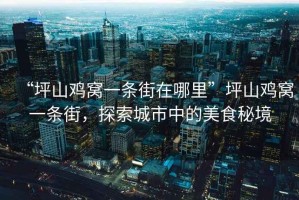“坪山雞窩一條街在哪里”坪山雞窩一條街，探索城市中的美食秘境