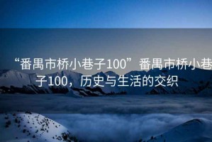“番禺市橋小巷子100”番禺市橋小巷子100，歷史與生活的交織