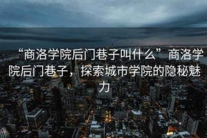 “商洛學院后門巷子叫什么”商洛學院后門巷子，探索城市學院的隱秘魅力