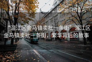 “溫江區(qū)金馬鎮(zhèn)賣批一條街”溫江區(qū)金馬鎮(zhèn)賣批一條街，繁華背后的故事