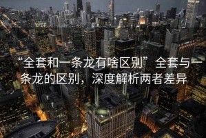 “全套和一條龍有啥區(qū)別”全套與一條龍的區(qū)別，深度解析兩者差異