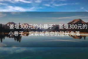 “姜堰300元的小巷子”姜堰300元的小巷子，探索城市中的隱秘角落