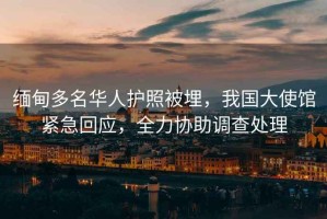 緬甸多名華人護照被埋，我國大使館緊急回應，全力協助調查處理