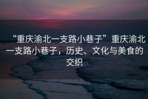“重慶渝北一支路小巷子”重慶渝北一支路小巷子，歷史、文化與美食的交織