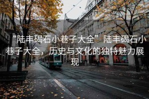 “陸豐碣石小巷子大全”陸豐碣石小巷子大全，歷史與文化的獨(dú)特魅力展現(xiàn)
