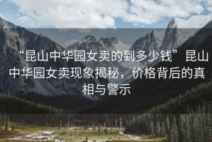 “昆山中華園女賣的到多少錢”昆山中華園女賣現象揭秘，價格背后的真相與警示