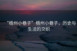 “梧州小巷子”梧州小巷子，歷史與生活的交織