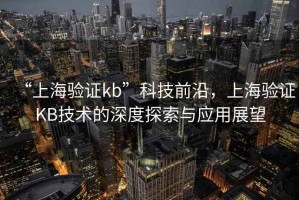 “上海驗證kb”科技前沿，上海驗證KB技術的深度探索與應用展望