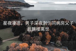星夜凄涼，男子深夜刺傷同病房父子后跳樓離世