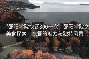 “邵陽學(xué)院快餐300一次”邵陽學(xué)院之美食探索，快餐的魅力與獨特風(fēng)景