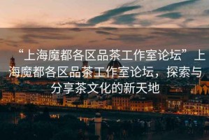 “上海魔都各區(qū)品茶工作室論壇”上海魔都各區(qū)品茶工作室論壇，探索與分享茶文化的新天地