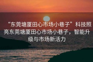 “東莞塘廈田心市場小巷子”科技照亮東莞塘廈田心市場小巷子，智能升級與市場新活力
